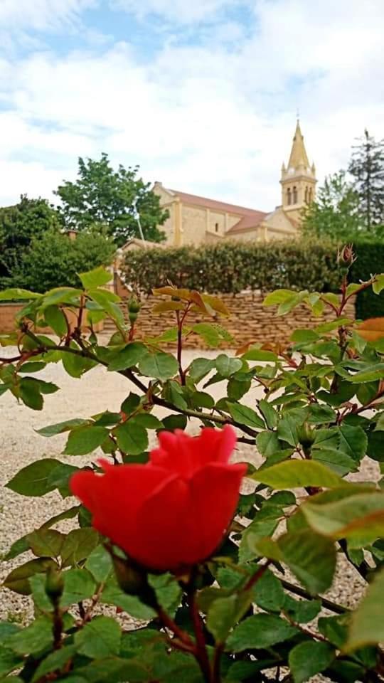 Les Jardins Du Castel Gites Annick Et Jean Paul Saint-Georges-d'Esperanche Exterior foto